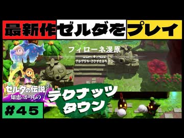 【新作】ゼルダの伝説 知恵のかりもの #４５【広島弁】