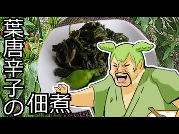【食】葉唐辛子の佃煮