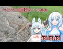 2025年8月20日　農作業日誌P1458　気が付くとお山が蜂だらけ・・・暑いけど畑を耕すよ