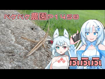 2025年8月20日　農作業日誌P1458　気が付くとお山が蜂だらけ・・・暑いけど畑を耕すよ