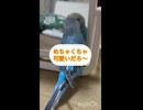 え？