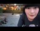 【ゆうらん】ネコネコネコネコネコネコ！公園にて猫大集合に戸惑いながらも楽しそう