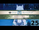 はぢめてのるんふぁく『龍の国 ルーンファクトリー』その２５