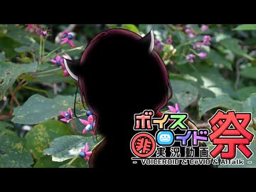 【第11回ひじき祭】「Sisters Affection」　Take It To Drive !：シーズン5 エピソード4（前編）【VOICEROID車載劇場】