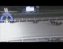 第12回フルールカップ（サトノクラウン賞） リュウノフライト