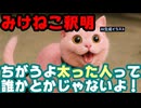 みけねこ、『百貫デブは自分の体をカメラで映せない』発言がマツコのことと勘違いされ慌てて釈明【ホロライブ/VTuber】