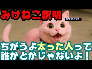 みけねこ、『百貫デブは自分の体をカメラで映せない』発言がマツコのことと勘違いされ慌てて釈明【ホロライブ/VTuber】