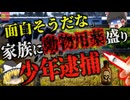 『これ飲ませたら面白いんじゃね？』→父親に悪ふざけで「動物用鎮静剤」を飲ませた少年が逮捕　顔が垂れさがり呼吸困難になる恐ろしい症状【ゆっくり解説】