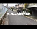 好青年のミーちゃんという狂気