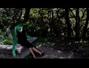 木漏れ日 / アムゼ feat.初音ミク
