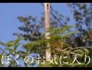 キモッチソング「ぼくのお気に入り」