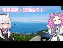 【旅行】夏休みに伊豆高原・沼津旅行！【VOICEVOX】