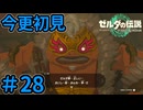 ダルケルの護りなしでこのレベルの突進を【ゼルダの伝説 ティアーズ オブ ザ キングダム】Part28