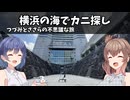 横浜の海でカニ探し