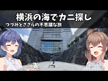 横浜の海でカニ探し