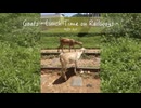 MIDI Art #4 “Goats - Lunch Time on Railways -”