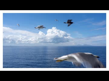 uuu／耳川2 feat.初音ミク