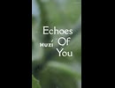 Echoes Of You