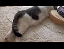 撮影を近くで見守る
