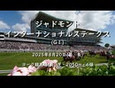 【ウマ娘風】第54回GⅠインターナショナルステークス(ヨーク・2025)