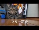 フリー研究 / 音街ウナ