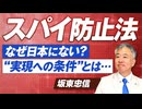 スパイ防止法実現への条件とは！なぜ日本にはないのか？坂東忠信【赤坂ニュース313】参政党※未公開シーン