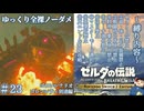 『9種の縛りプレイ＃23』ノーダメージでチュチュゼリー大量消費時代に突入する全裸リンク【ゼルダの伝説ブレスオブザワイルドswitch２エディション/ゆっくり実況】