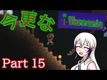 【Trraria】今更なテラリア　その15