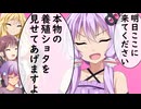 明日ここに来てください、本物の養殖ショタを見せてあげますよ【第11回ひじき祭】