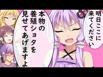 明日ここに来てください、本物の養殖ショタを見せてあげますよ【第11回ひじき祭】