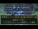 【FF11】青魔道士１から育成計画　魔法戦編　範囲狩りの達人！一人であれこれこなせる超便利ジョブ爆誕！