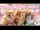 【新作MV】We Are Super Cute!【癒しの子猫AIミュージックビデオ】