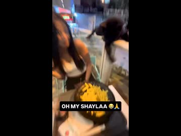 ホモと見るネコにちょっかいを出して食事をめちゃくちゃにされる女