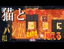 (=実況=)ネコとパンが合わさって最強に見えるCATO #11