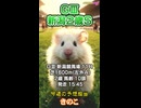 【競馬予想】ＧⅢ #新潟2歳ステークス□AIねむリン□今回の予想担当はきのこ□推奨馬2頭で好配当的中□目指します□《#競馬楽部□（LOVE）》Vol.186 通算Vol.388