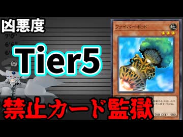 禁止カード監獄 ファイバーポッド編