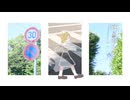 【針葉樹が】ハニーステップ　歌ってみた  ver.ひの木