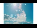 青空、飛べない羽 / ナースロボ_タイプT