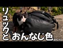 リュックと同じ色