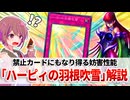 【遊戯王解説】ハーピィの羽根吹雪
