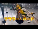 フラワー・バード / 初音ミク オリジナル曲