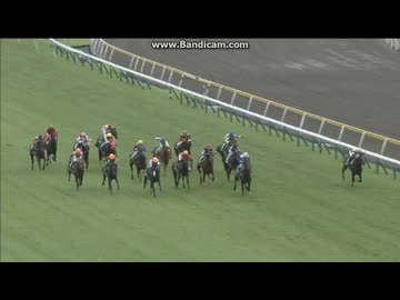 【非売品】ロードクエスト 新潟2歳ステークス 勝利記念ジャージ ウマ娘 L 競馬 2015 新潟2歳ステークス (GIII) ロードクエスト - YouTube