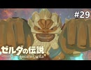 ダルケルの護り 【ゼルダの伝説 ブレス オブ ザ ワイルドのんびり実況】#29