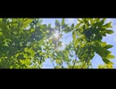 【初音ミク】薫風を吞んで-rain