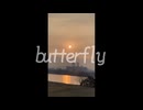 butterfly [w/カゼヒキV]