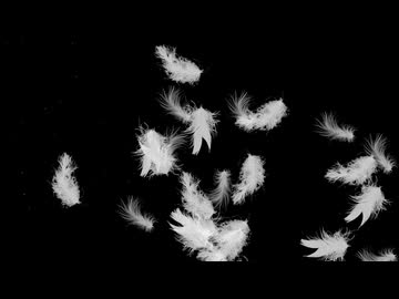Dandelion / Miz feat.初音ミク