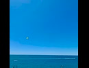 Blue/モネ feat. GUMI