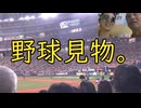 野球見物。