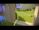 the witness