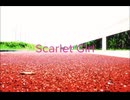 スカーレットガール/初音ミク